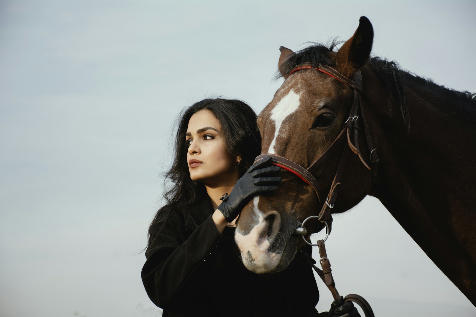 15 Must-See Movies About Horses: From Heartfelt Dramas to Thrilling... - Cinema