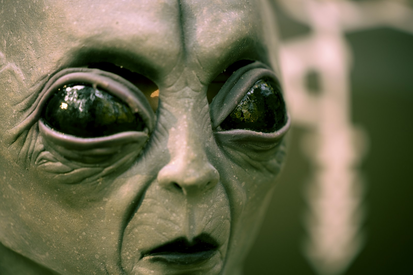 Exciting News: 'Alien: Earth' Renewed for Season Two!