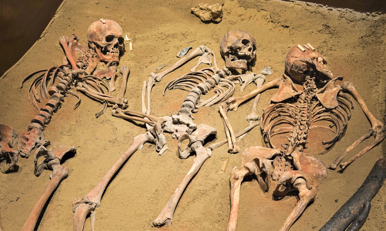 Ancient Skeletons Reveal Pregnancy Insights Through Bones