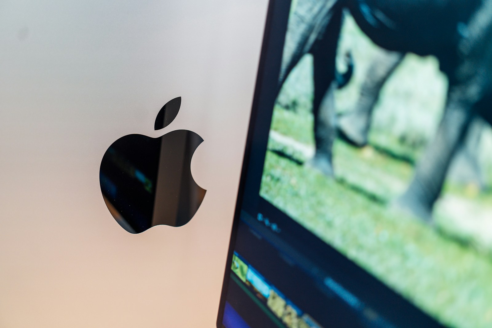 Apple TV Scraps Thriller Premiere Amid Plagiarism Allegations