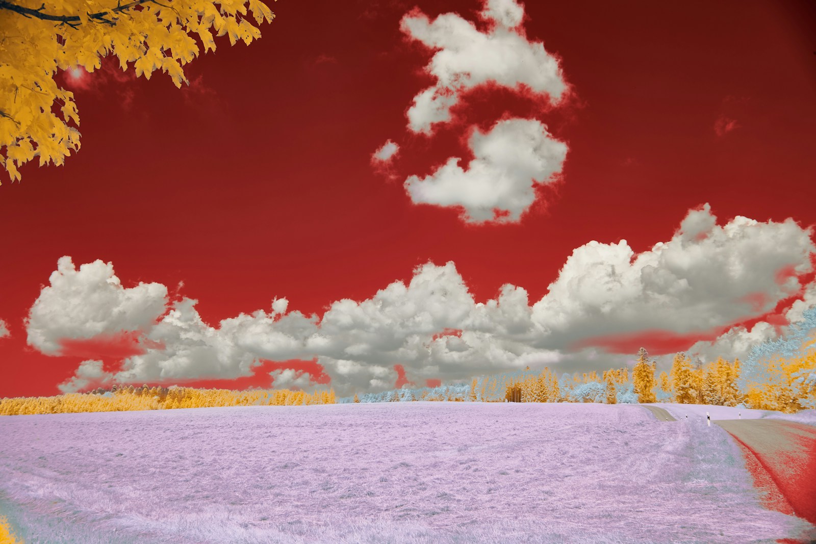 Emotional Journey: Autoscopia Interactive Launches Alzheimer's Game