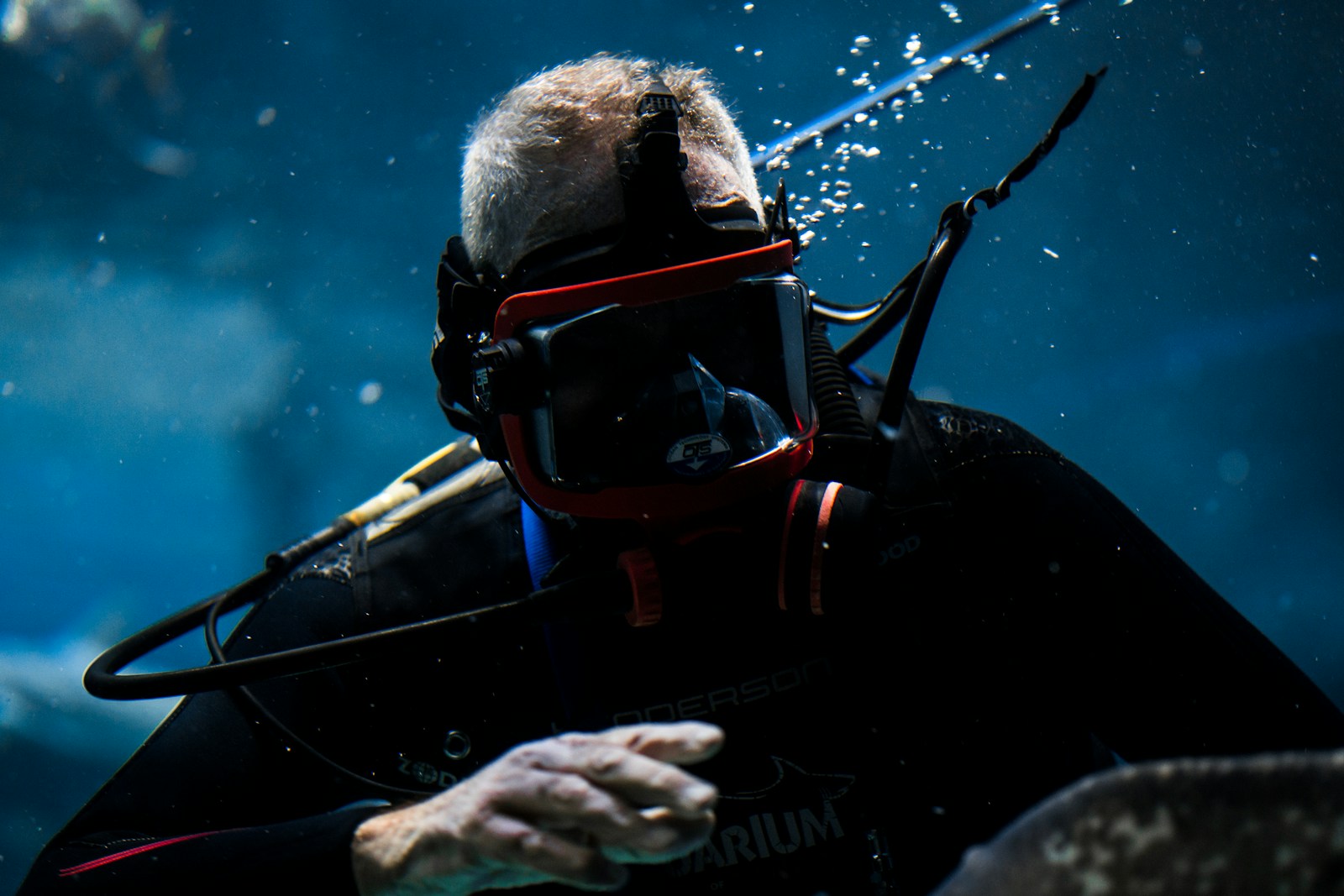 Score Big Discounts on Battlefield 6 and Dive into Season 2! - Game