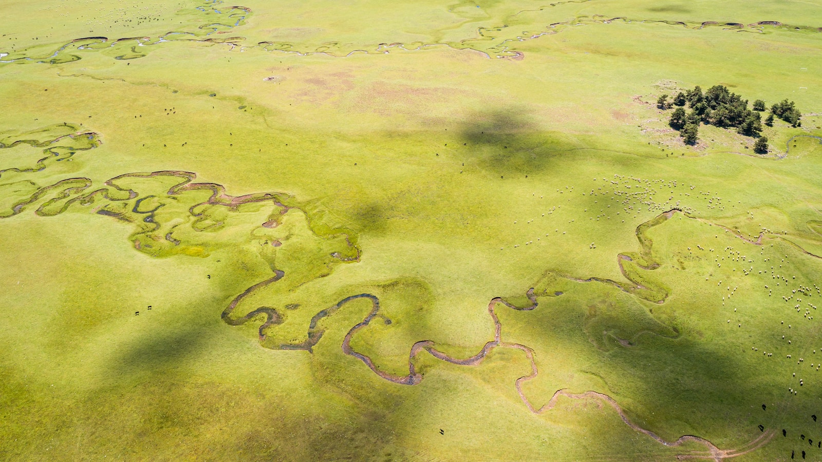 Battlefield 6 Free Trial: Explore New Maps and Modes Soon! - Game