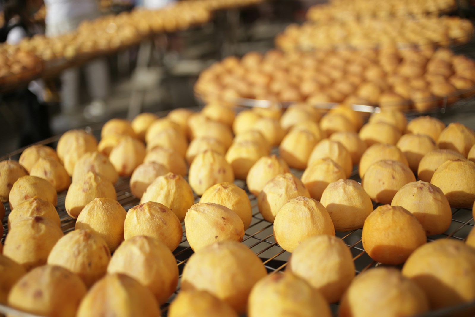Belarus Potato Harvest Surges by 125,000 Tons in 2025