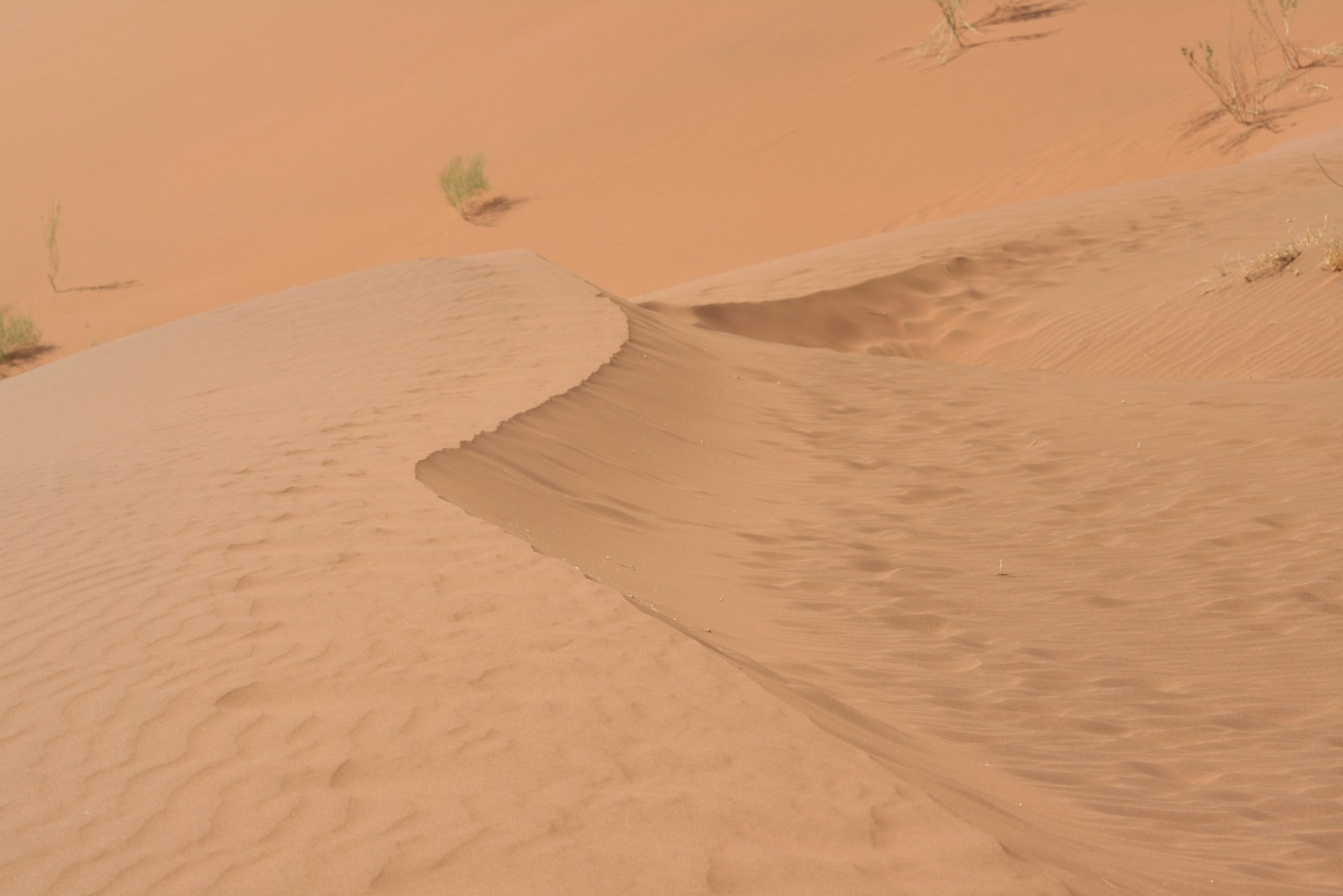Best Graphics Mode for Crimson Desert on PS5 and PS5 Pro - Game
