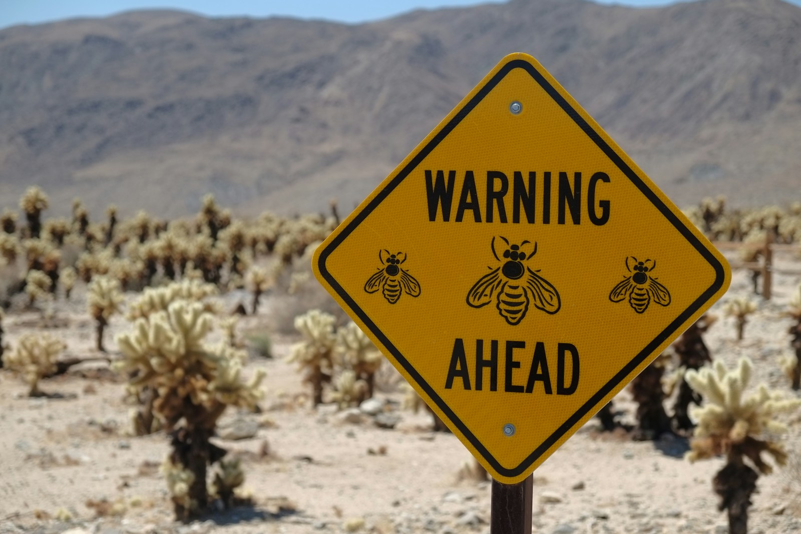 Beware: Tick Season Is Here! Expert Warns of Rising Activity - Lifestyle