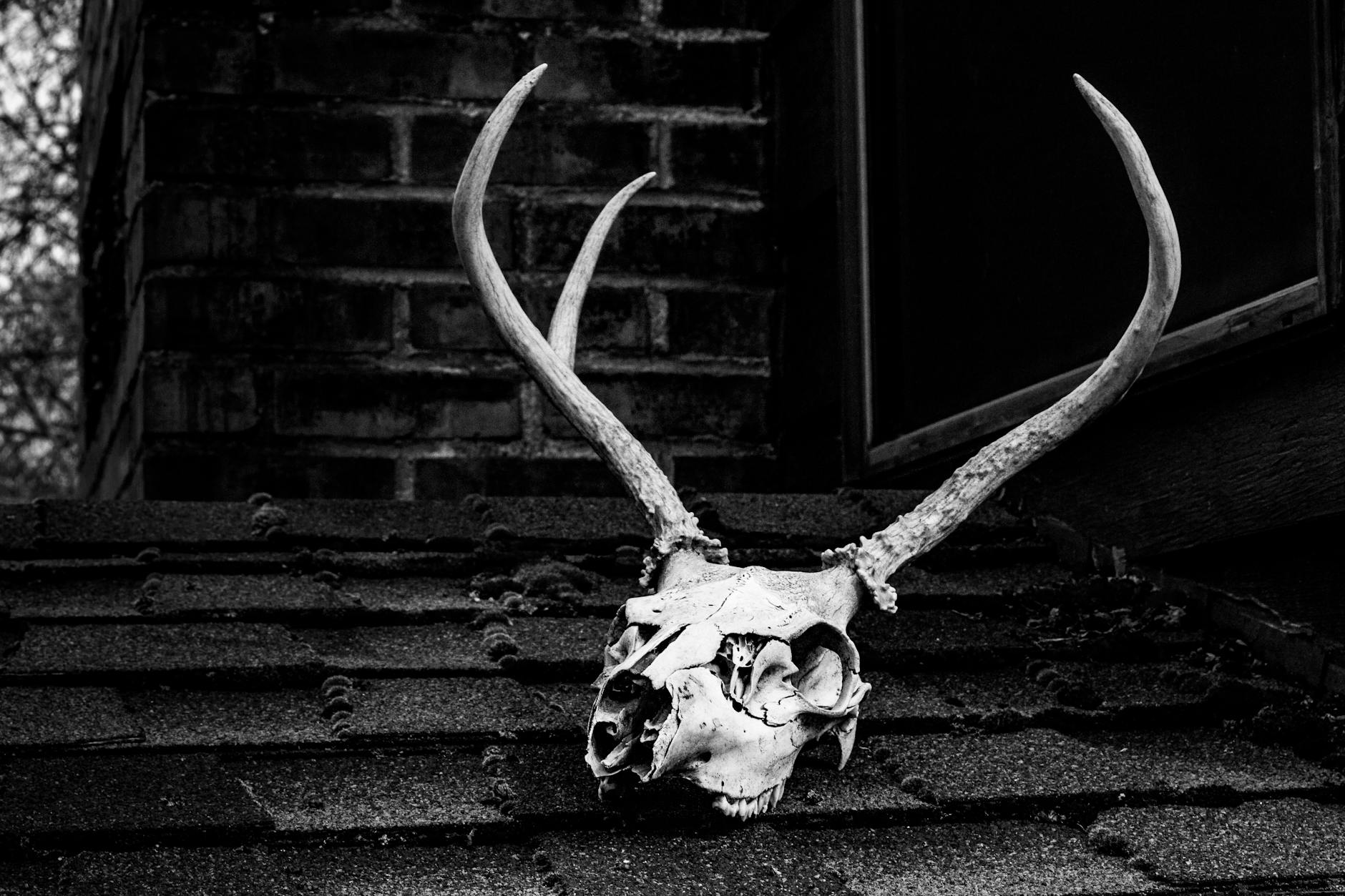 Bizarre Death Hoaxes: The Wildest Stories of Faked Demises