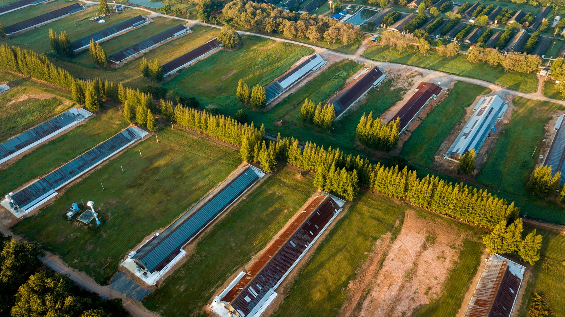 Bologna Game Farm 2026: New Funding for Game Development - Game