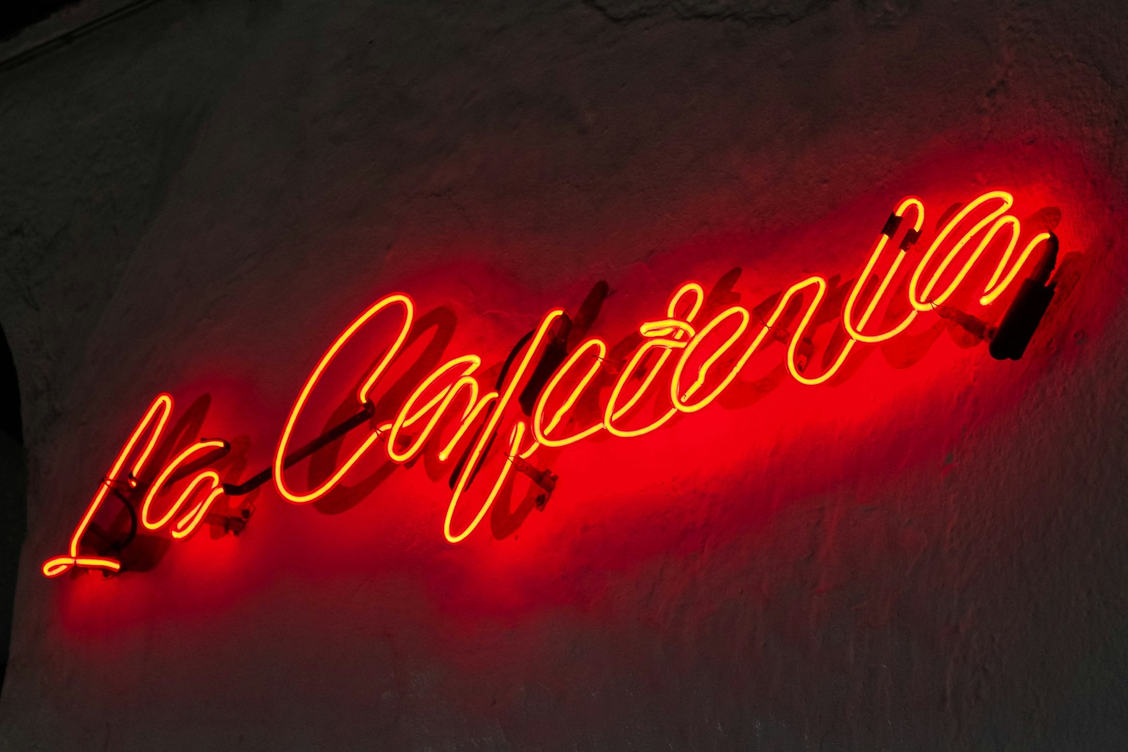 Café Dolina in St. Petersburg Changes Sign Due to Larisa Dolina