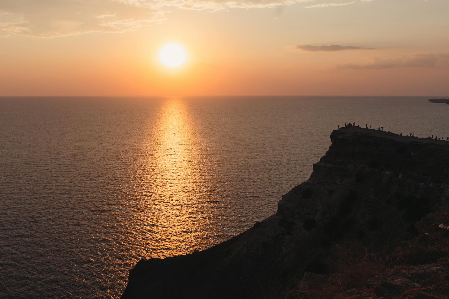 Case Closed: Petersburg Man Who Threw Cat Off Cliff in Crimea - News
