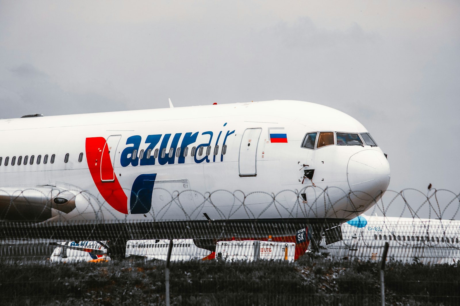 Heartbreaking Abandonment: Cat Left at Moscow Airport by Owners - Lifestyle