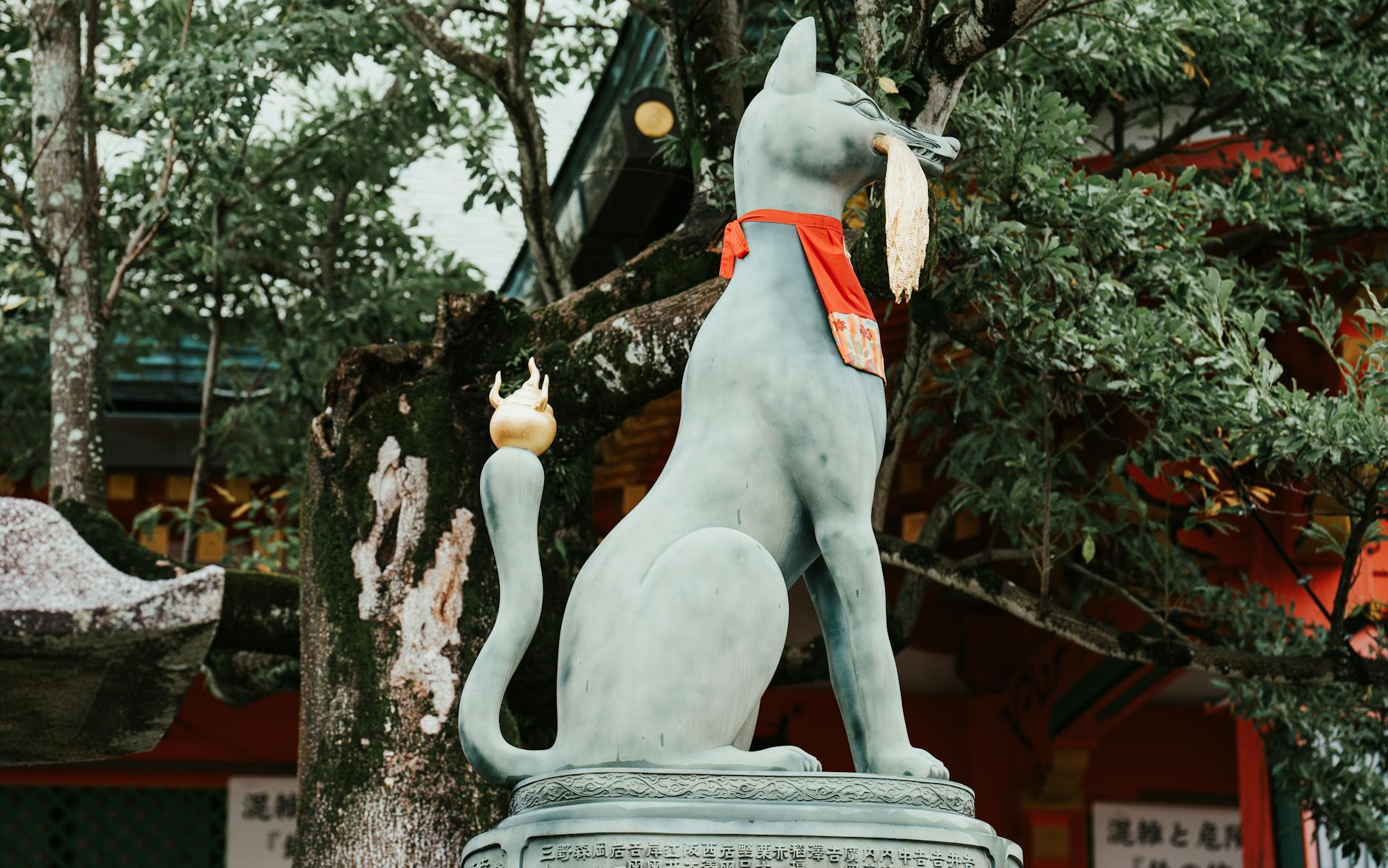 Meet the Cat Gatekeeper: Your New Social Media Guardian