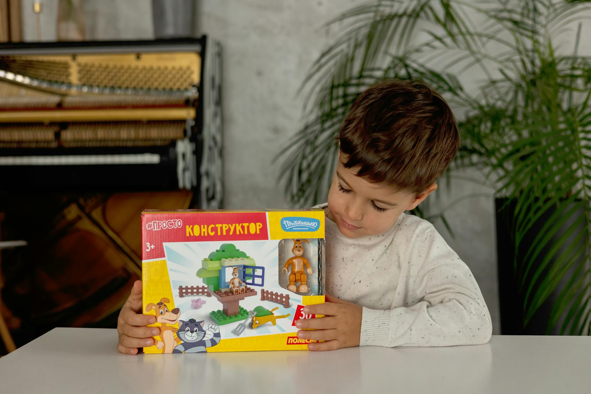 Cheburashka Constructor Set Could Land in Russian Kindergartens - Lifestyle