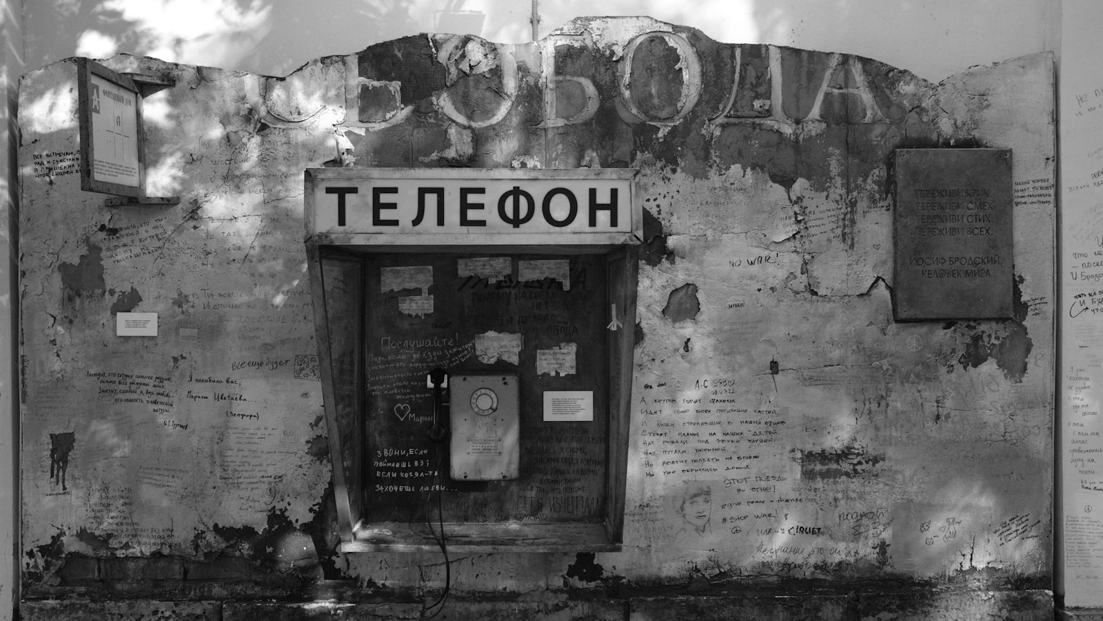 Chicory's Comeback: Why This Retro Drink is Trending in Moscow