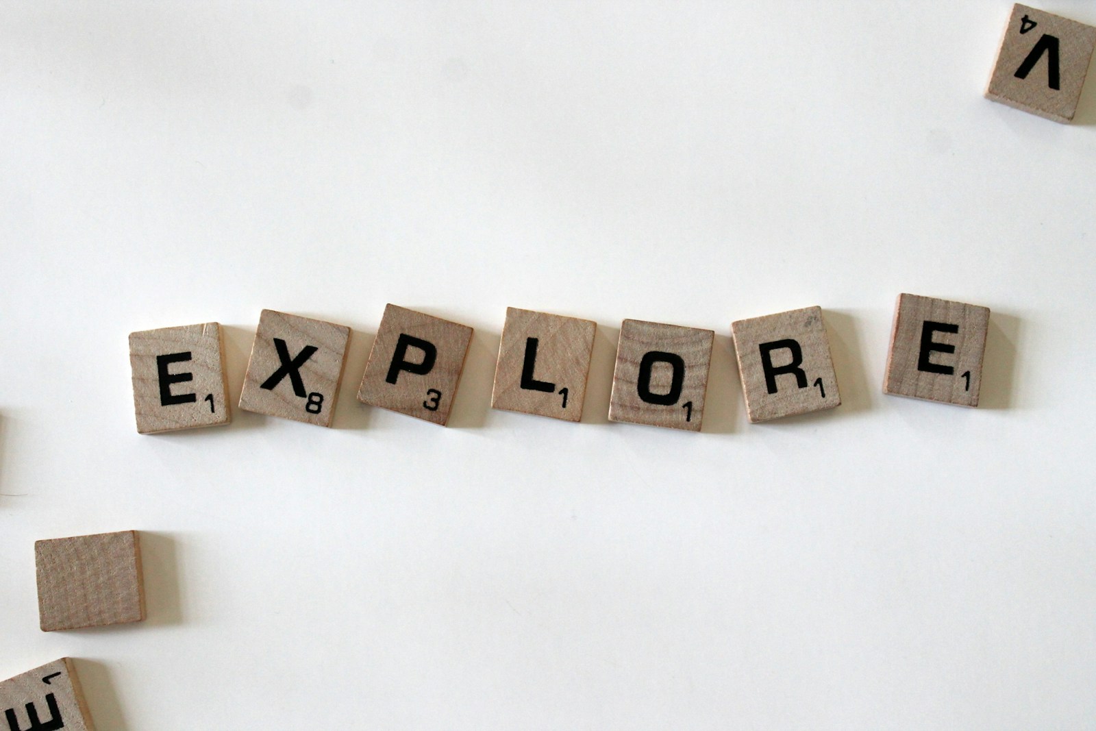 Explore the Culture, Media, and Digital Forum at Moskino