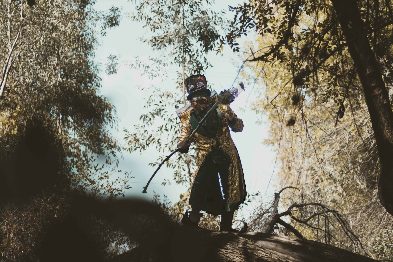 Dive into 'Paperweight': A Musician's MMA Journey