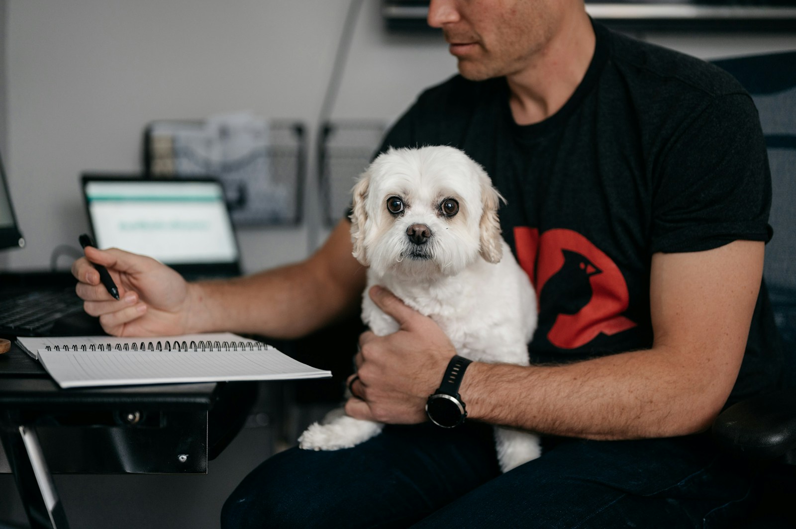 Meet the Pup Who Codes Games with AI: A New Era of Creativity - Tech