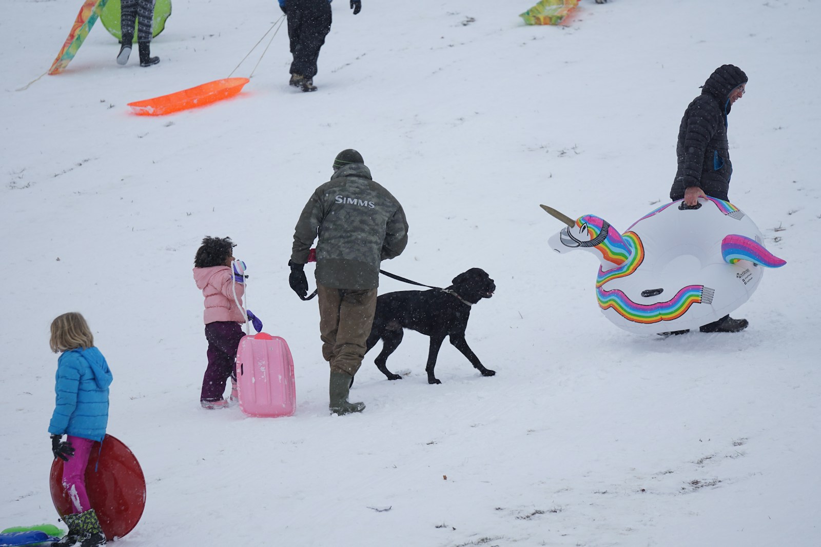 Dog Finishes Olympic Race Alongside Skiers: A Heartwarming Moment - Sport