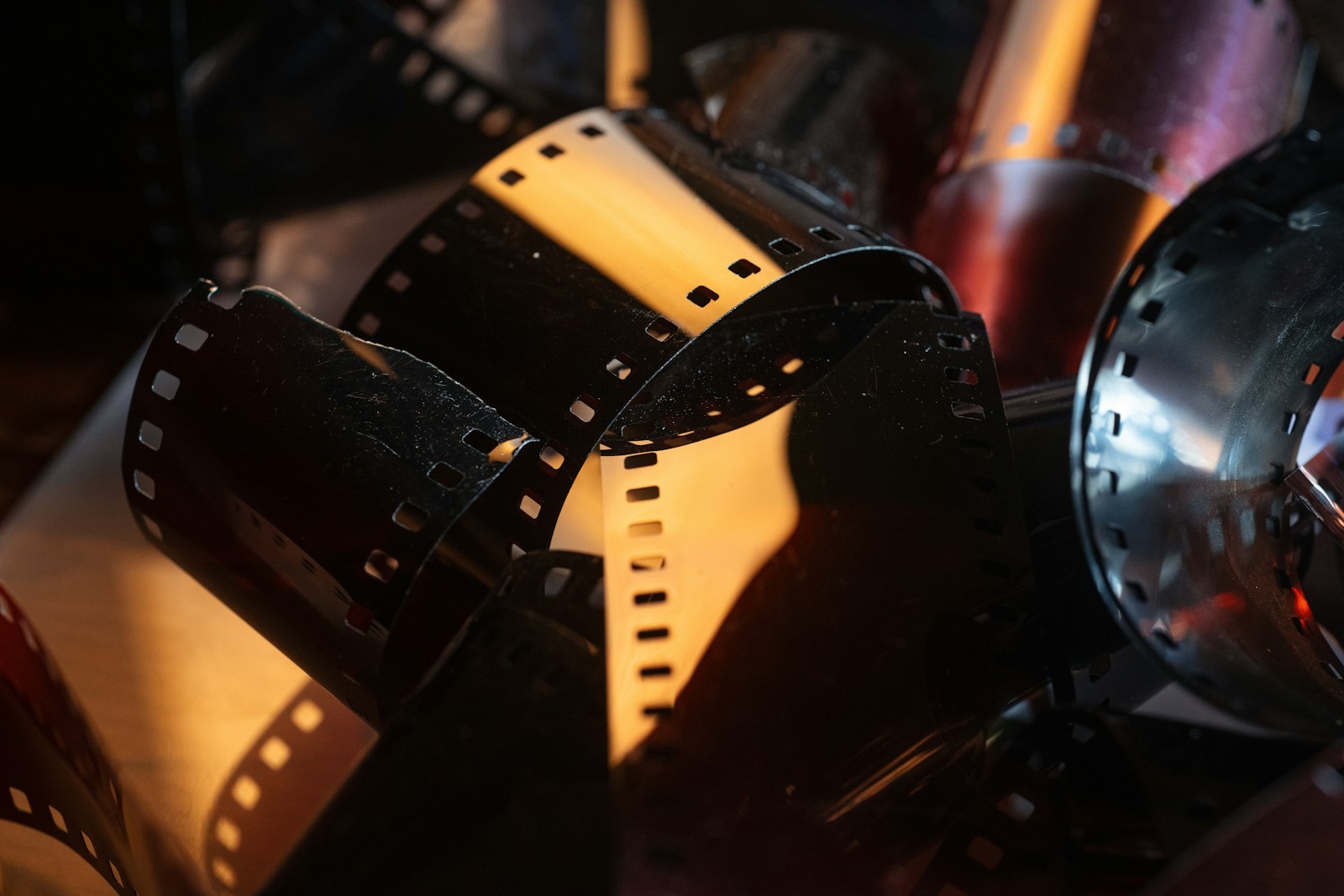 Five Dracula Films Released in 2025: Ranked from Worst to Best