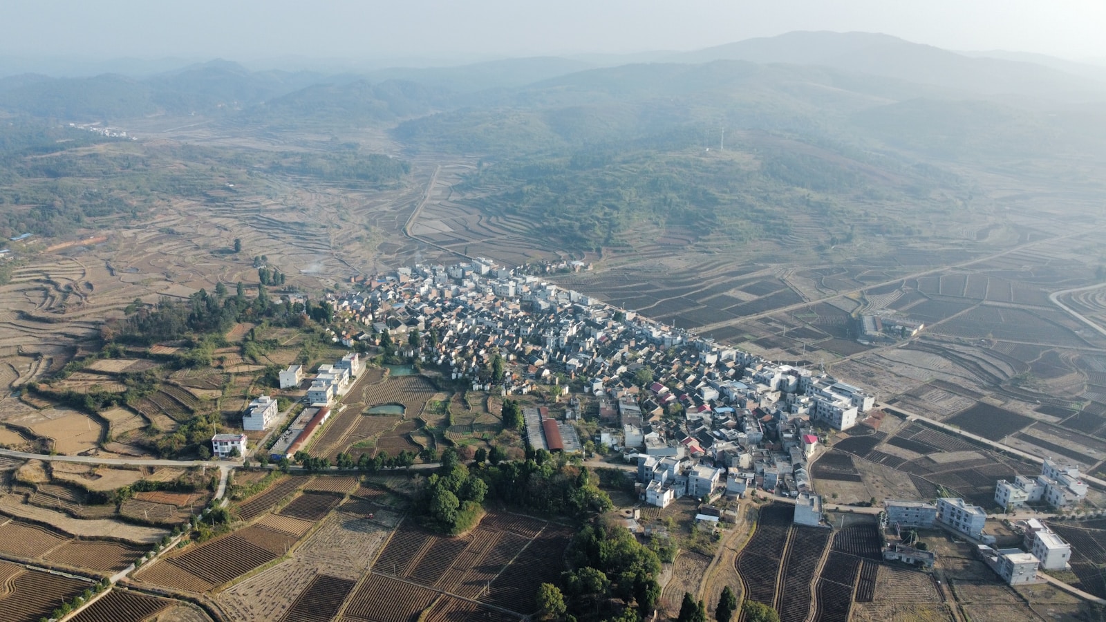 Exploring the Rise of 'Druzhbadom': Gen-Z's New Communes - Lifestyle