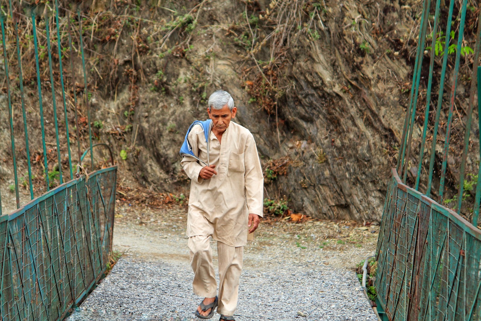 Elderly Japanese Man Fends Off Bear with Trekking Poles - News