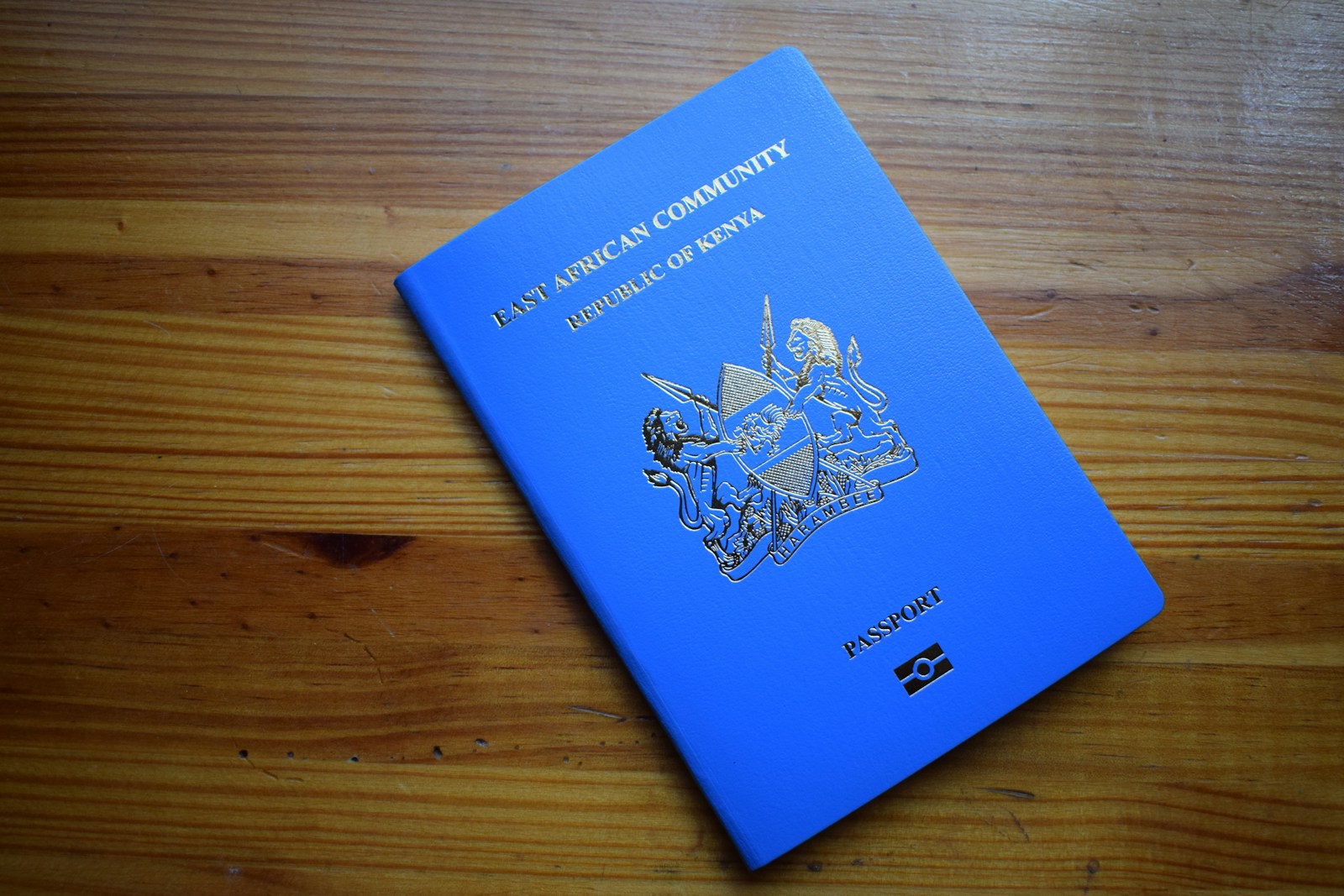 Emir Kusturica Aims for Russian Citizenship: What We Know