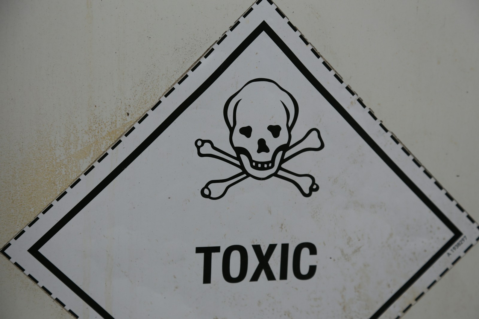 New Policy: Employees Can Be Fired for Toxic Behavior - Lifestyle
