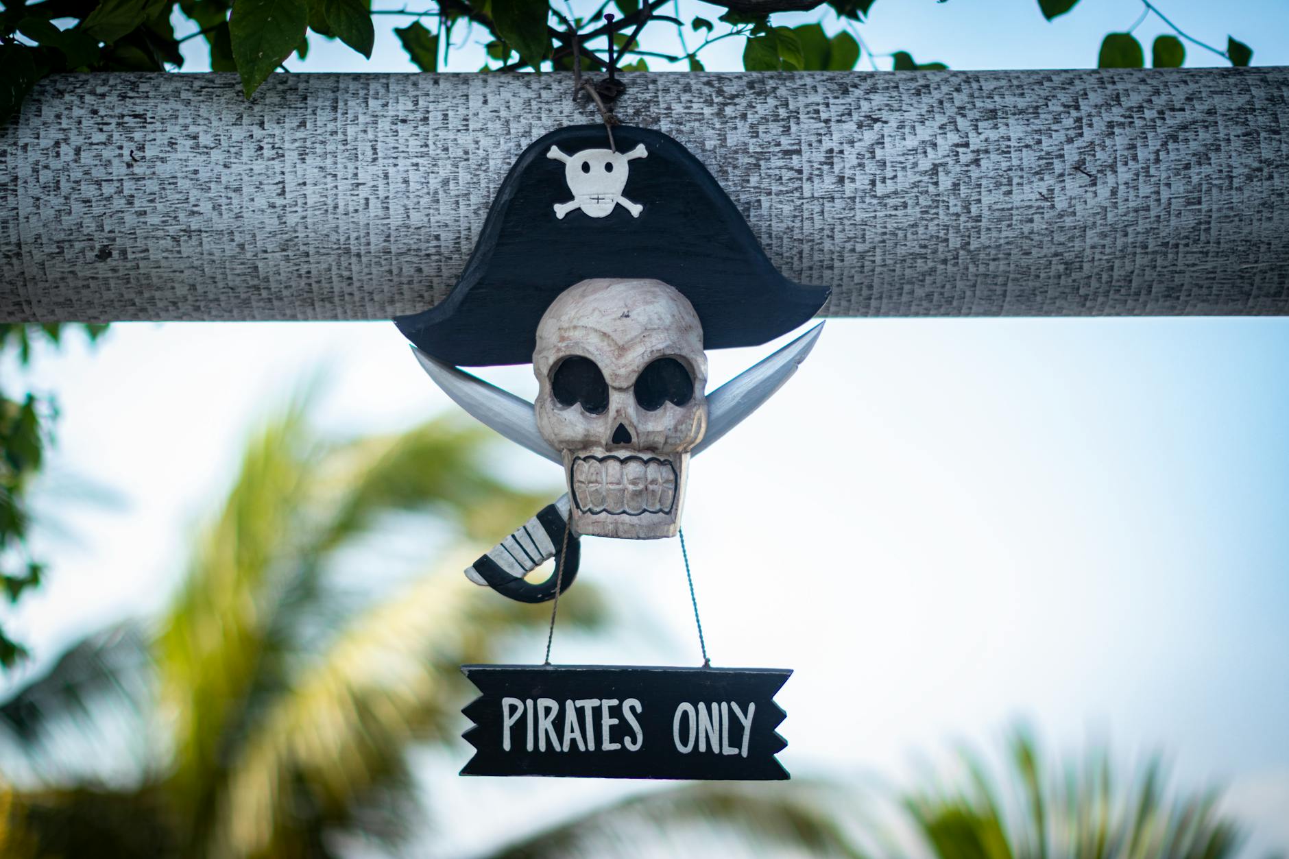 Epic LEGO Pirate Sets on Amazon for Collectors and Fans - Lifestyle