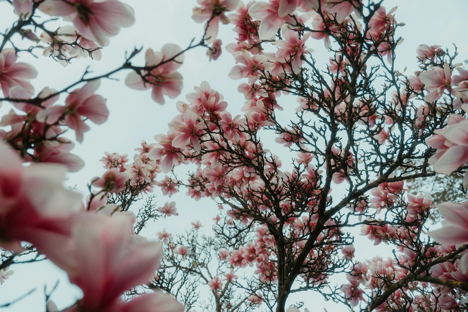 Euphoria Season 3 Trailer Drops: What to Expect This April