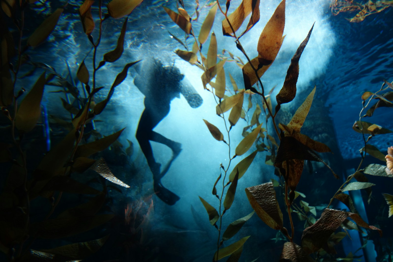 Exploring Philosophy on Screen: 14 Must-See Adaptations - Cinema