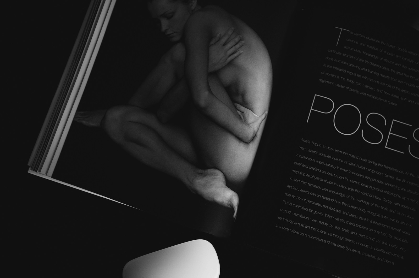 Exploring Pornography: A Lens on Human Desire and Truth - Cinema