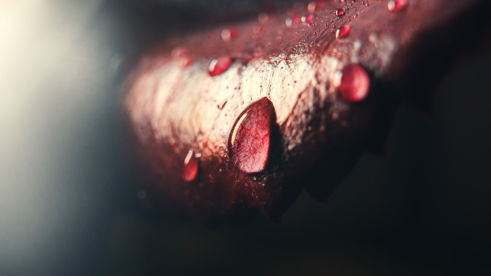 7 Gruesome Slashers Featuring Fairytale Characters Ranked