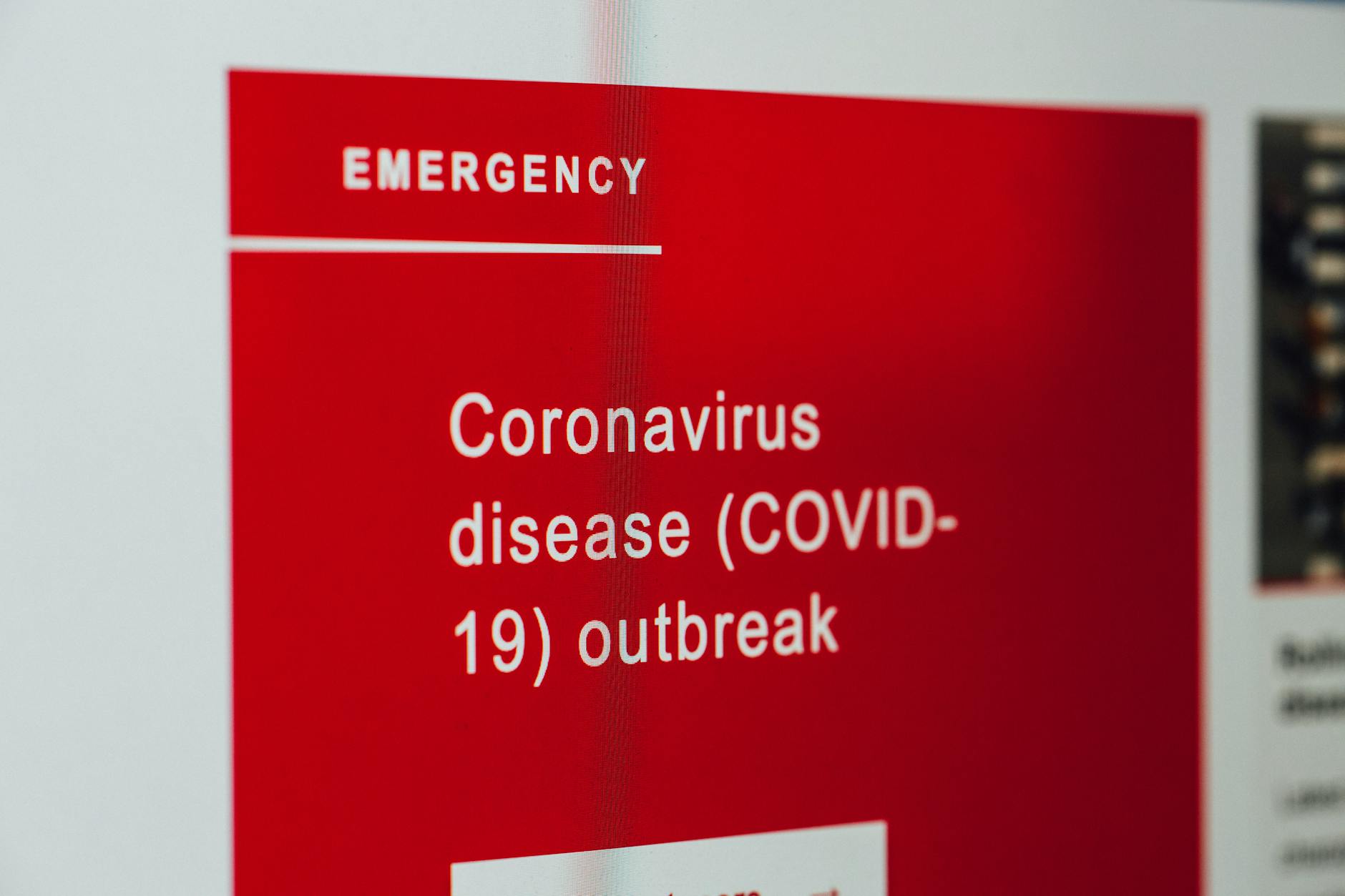 Farmers Face Livestock Seizures Amid Disease Outbreak in Russia - News