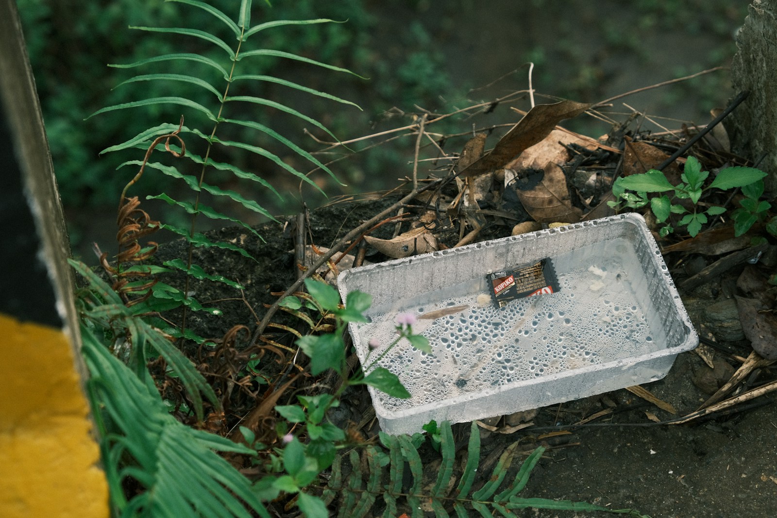 Meet the Fastest Trash Can: A British Inventor's Wild Creation