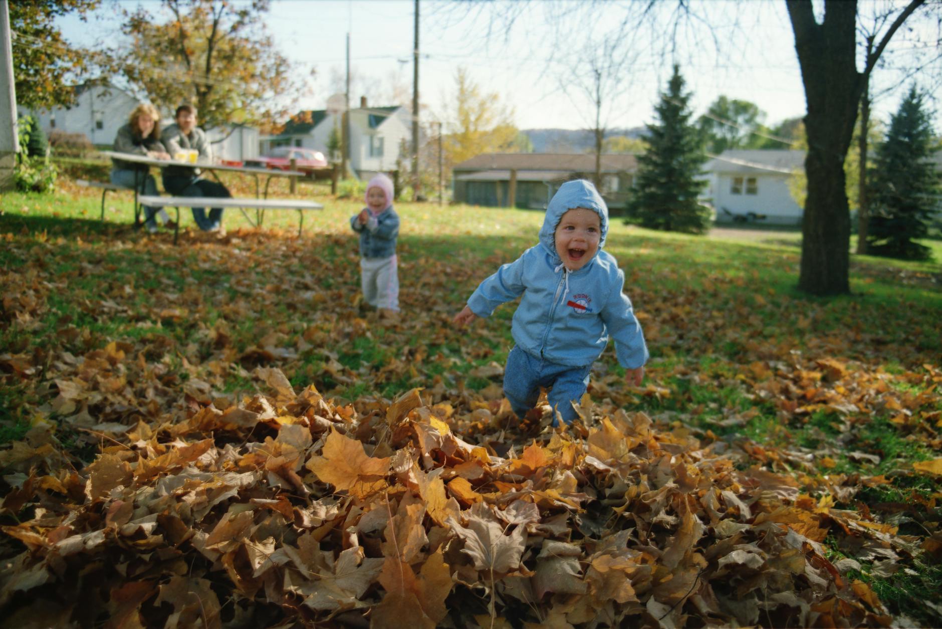 Exciting News: Filming for Season Two of 'Kinostudiya' Starts Soon!