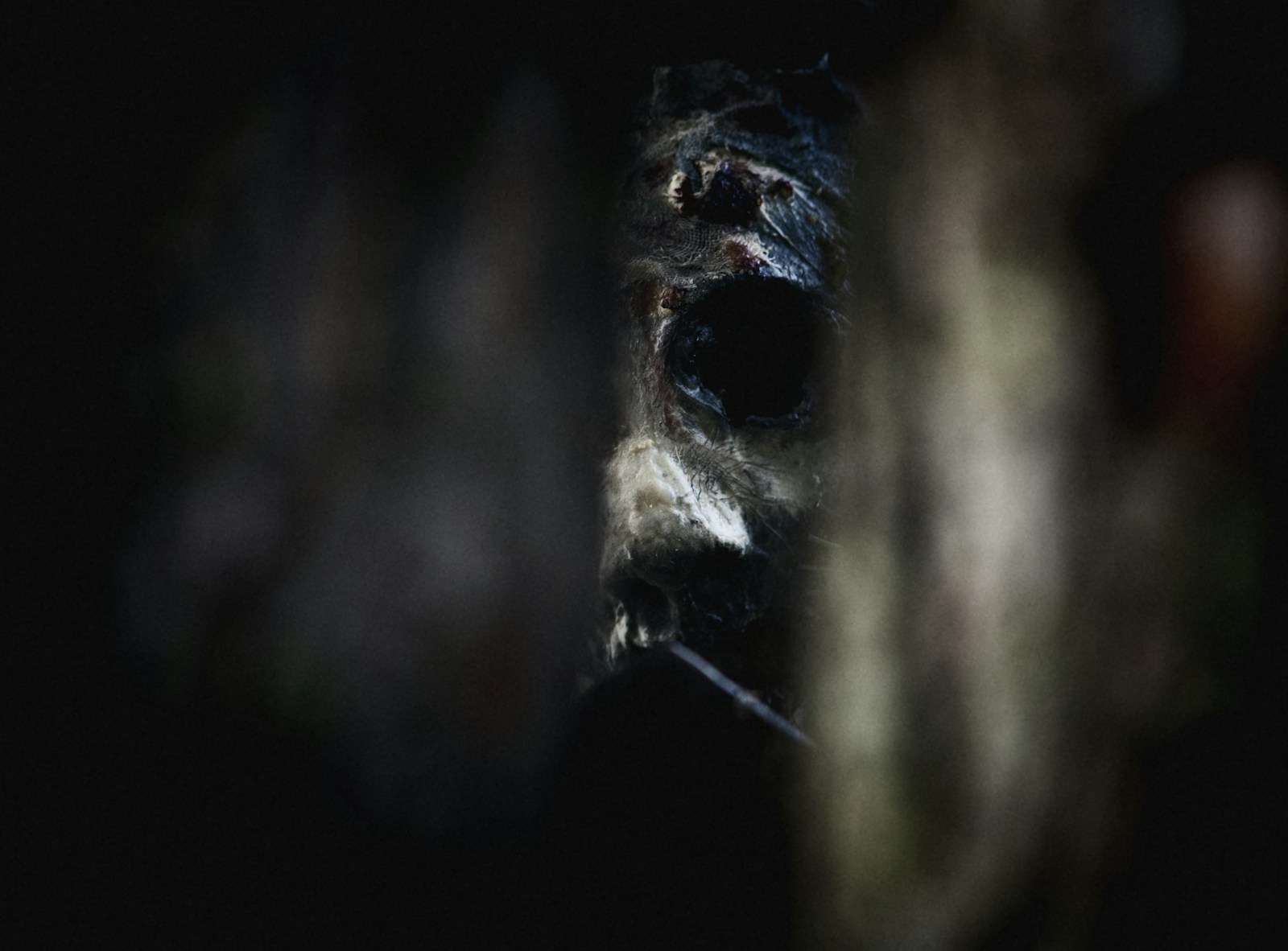 Final Trailer Drops for 'Creeper' by Osgoode Perkins