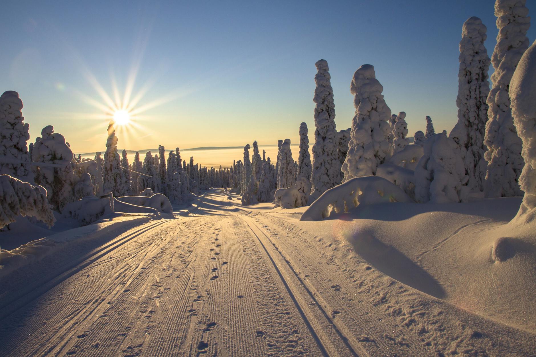 Finland Reclaims Title of World's Happiest Country in 2026 - News