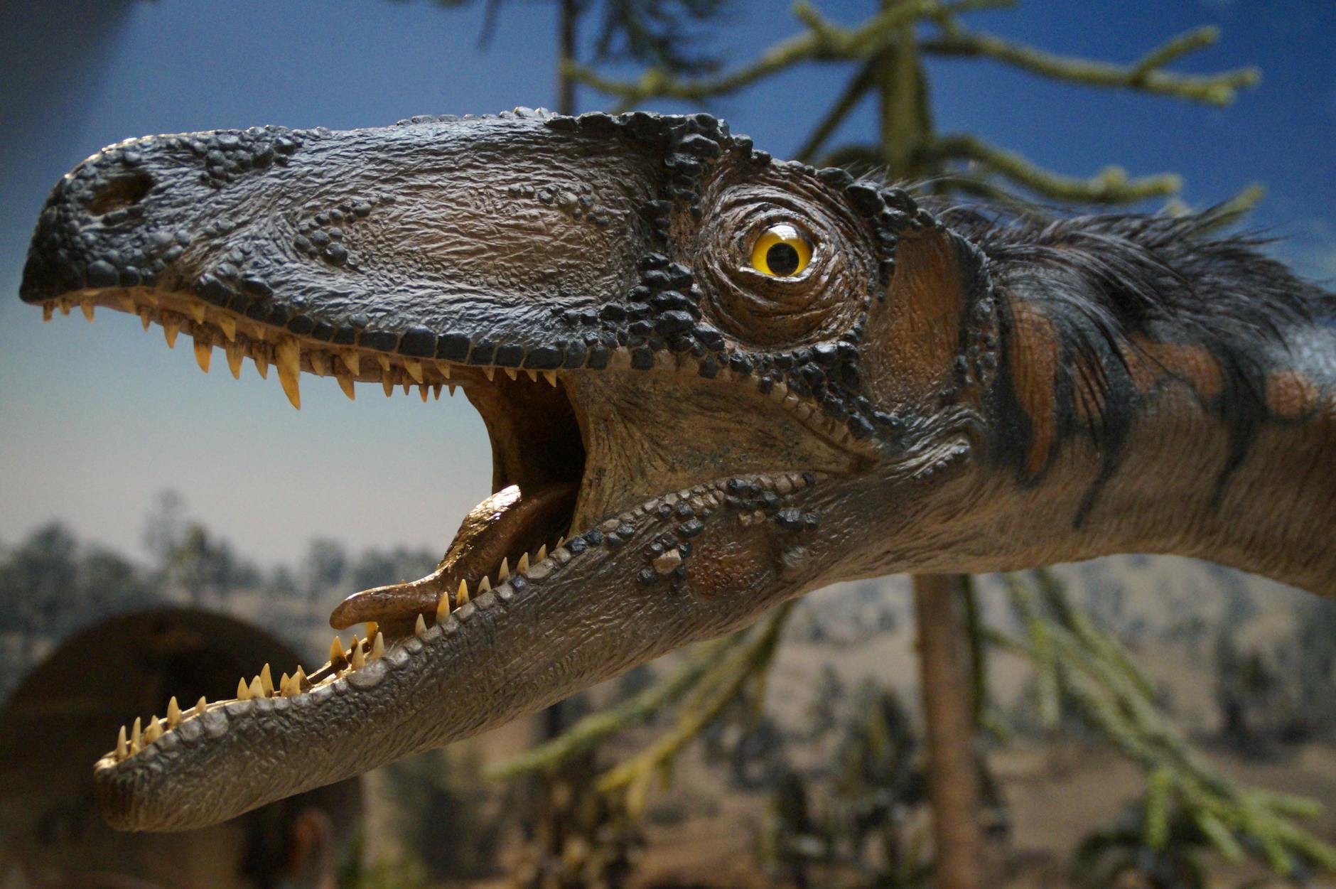 Fluffy Dinosaur Fossil Found in Korea Named After Cartoon Character - News