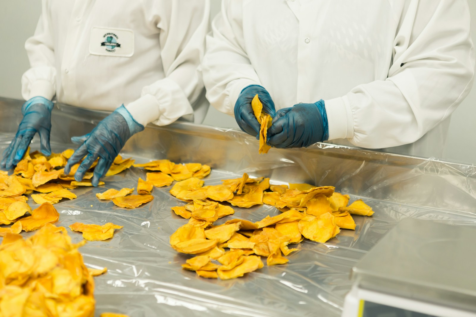Major Food Safety Violations Found in 64% of Ready-to-Eat Samples