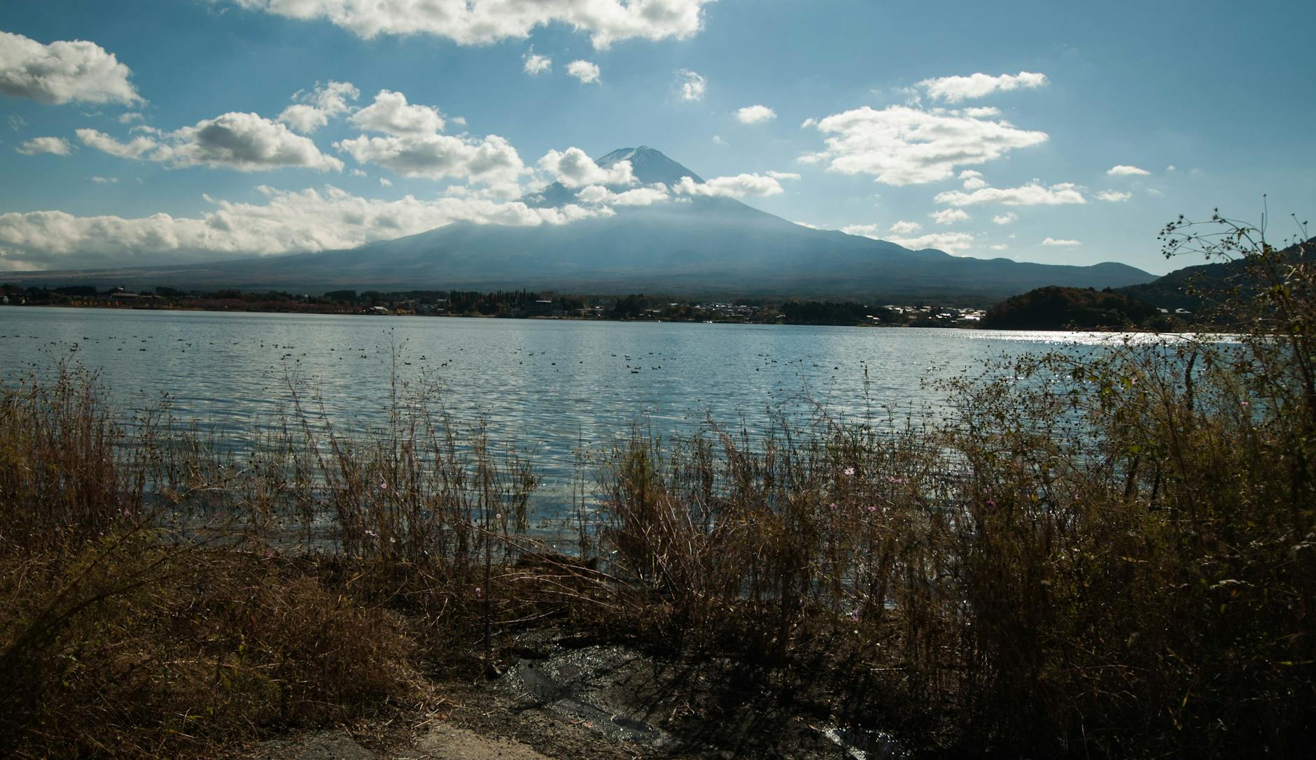 Exploring Japan's Stunning Landscapes in Forza Horizon 6 - Game