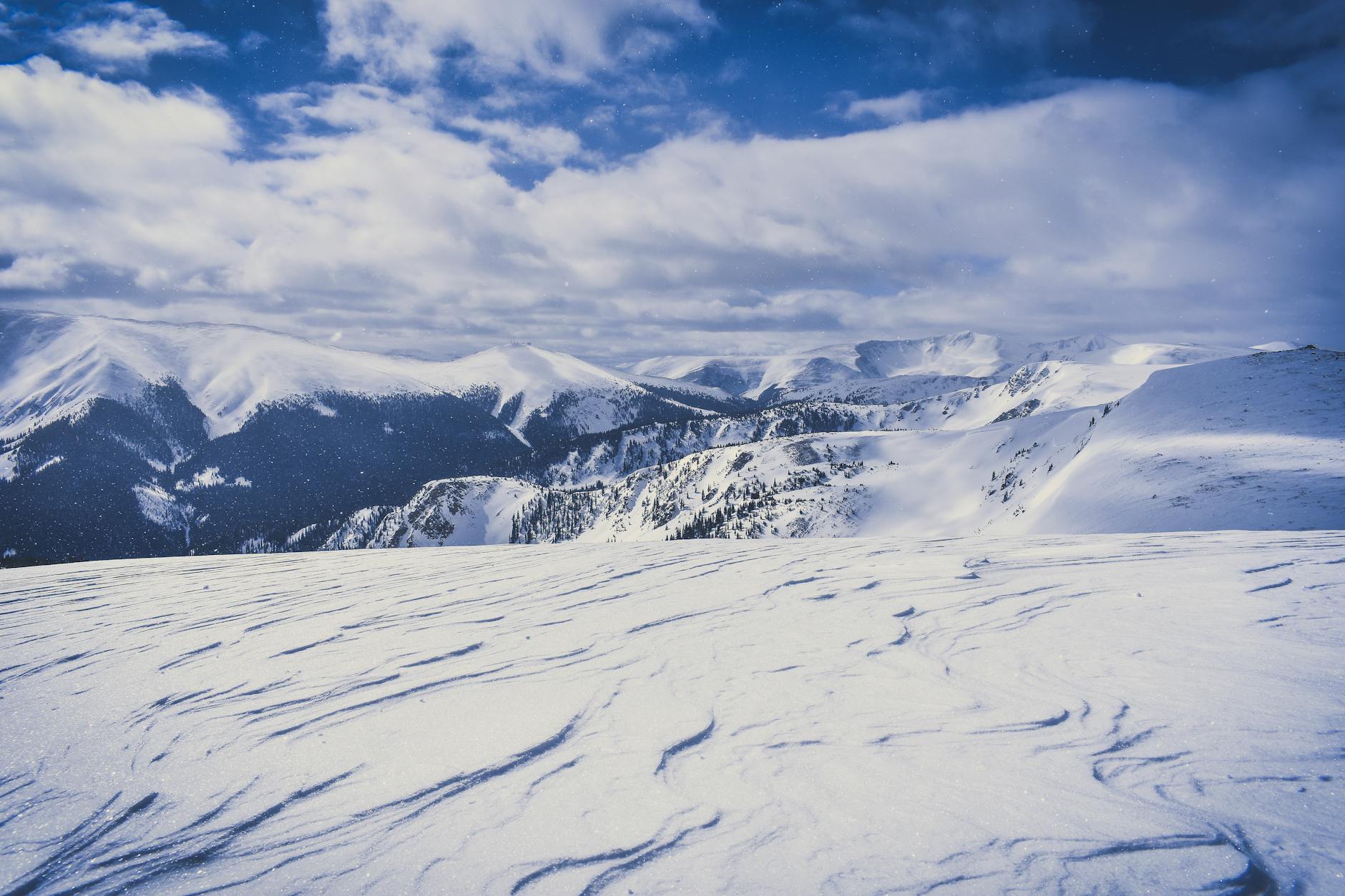 Forza Horizon 6 Unveils Stunning Map: Tokyo to Snowy Peaks | BackZee