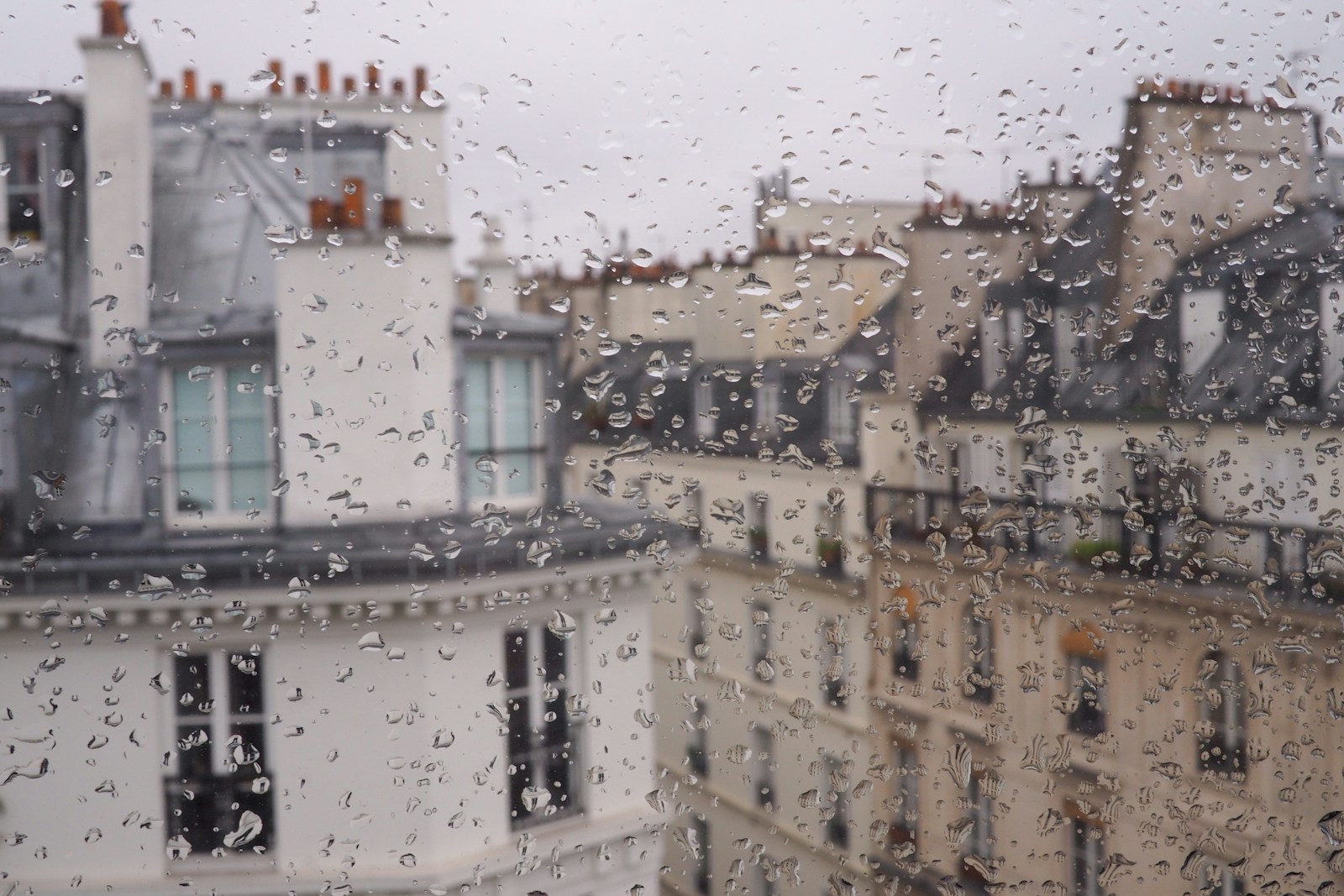 France Breaks Record with 36 Consecutive Days of Rain - News