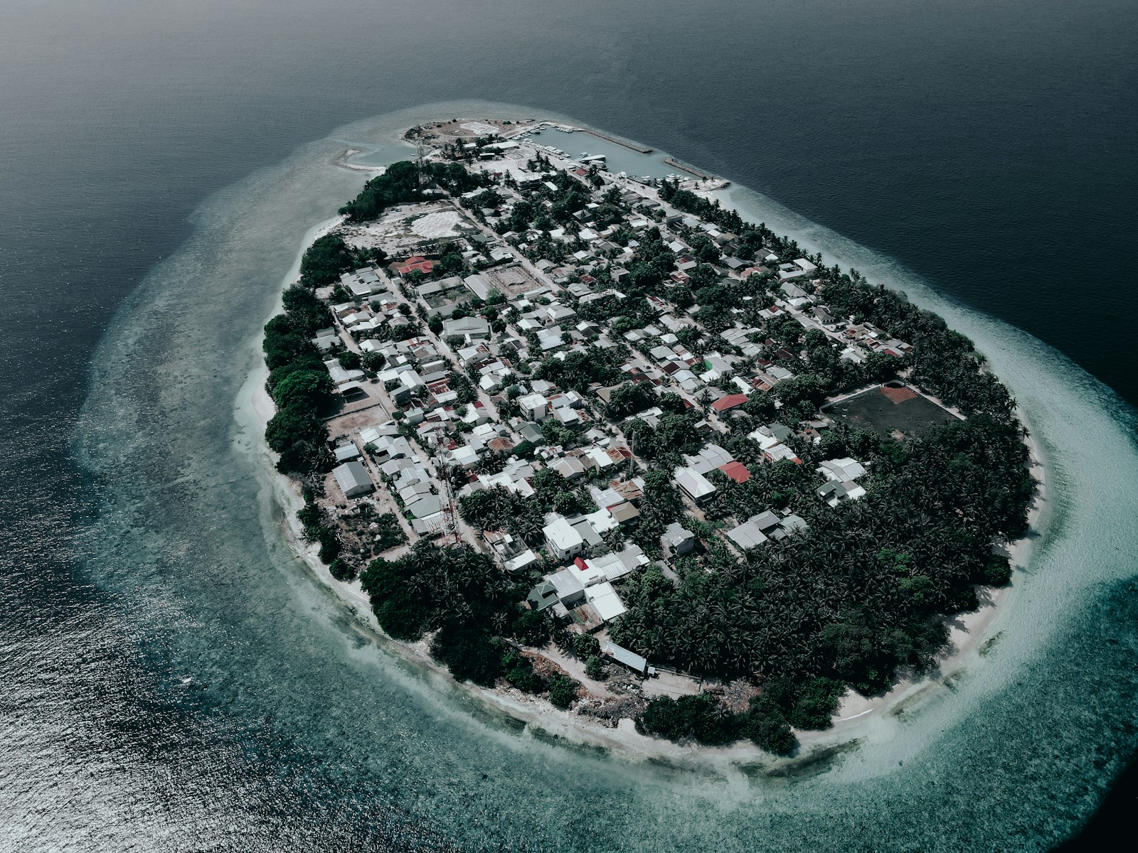 Oscar-Winning Director Francis Ford Coppola Sells Private Island
