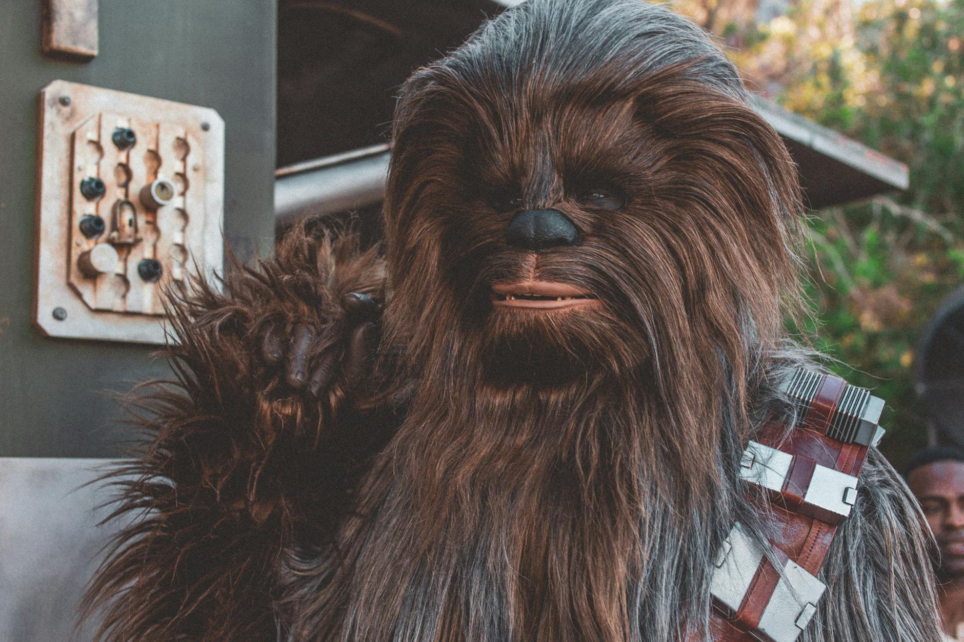 Get Your Free LEGO Star Wars Gift This May 4th! - Lifestyle