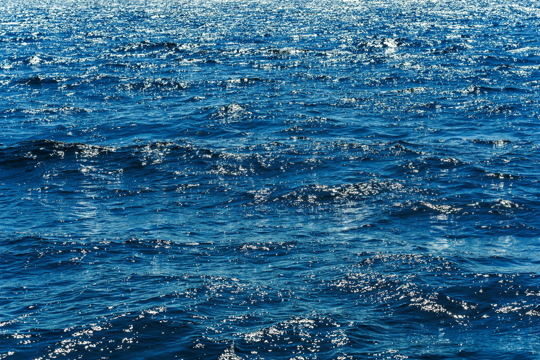 From IT to the Open Sea: The Journey of Mariner Mikhail Baskov - Lifestyle