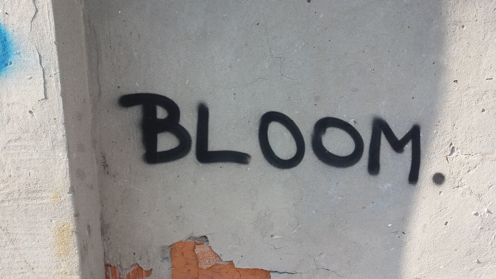 George Clooney and Annette Bening to Star in Amy Bloom Memoir Adapt...