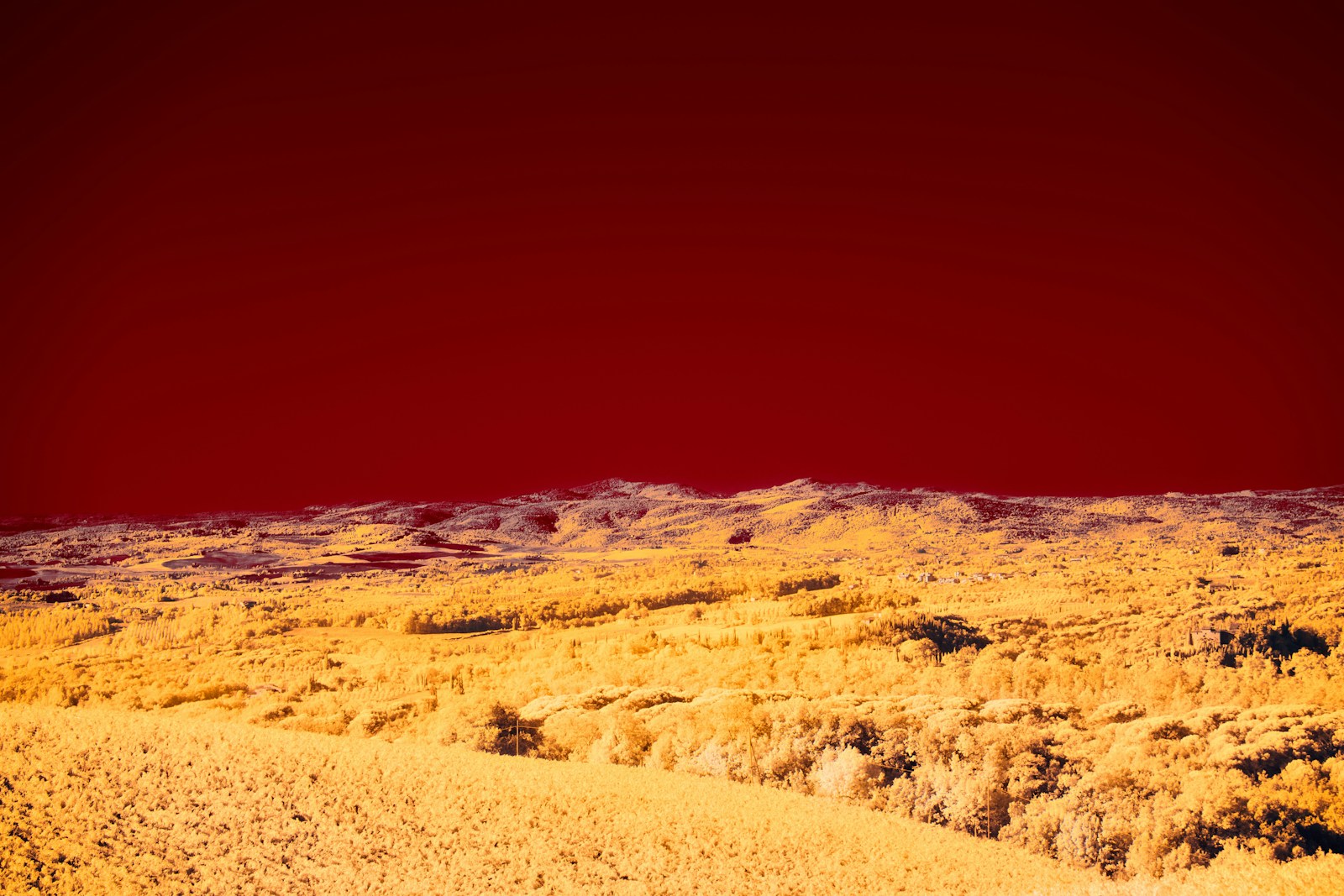 Get Crimson Desert for Free on PC: Limited-Time Offer! - Game