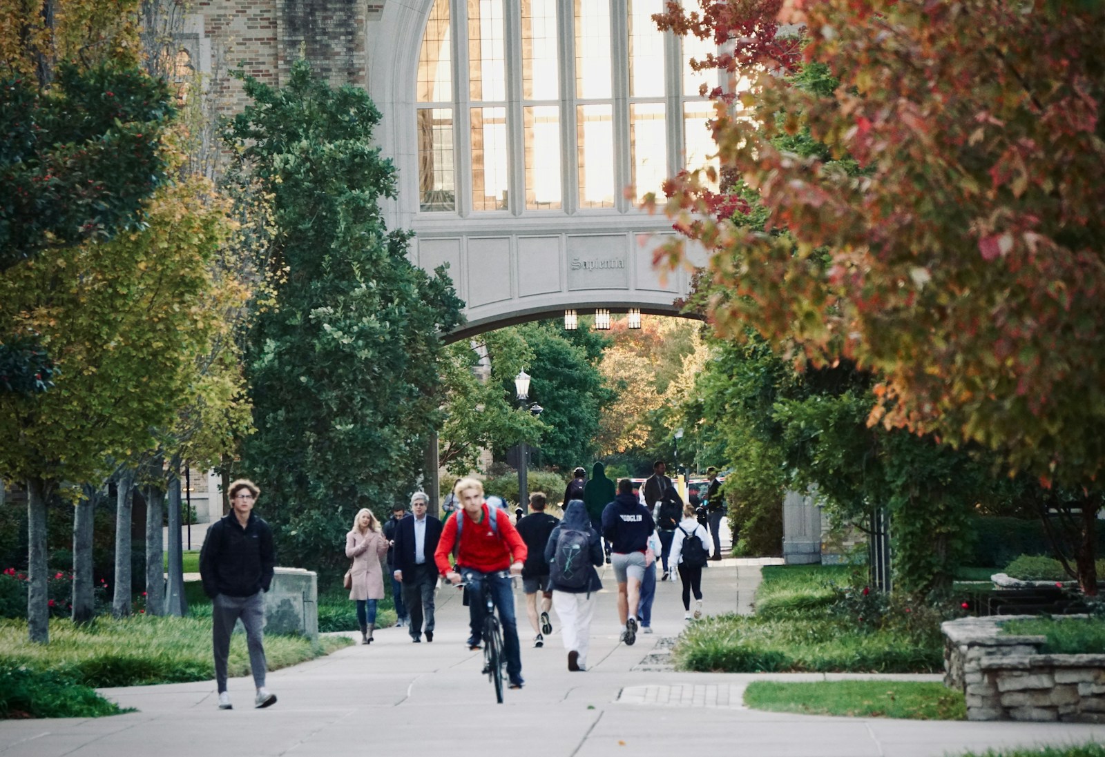 Government Limits Paid University Spots for 40 Popular Majors