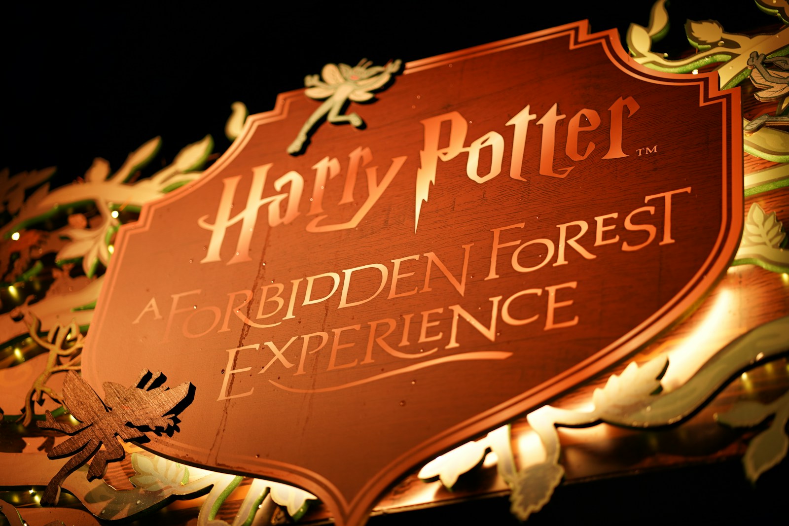 Behind the Scenes of the New Harry Potter Show: Casting Insights - Cinema