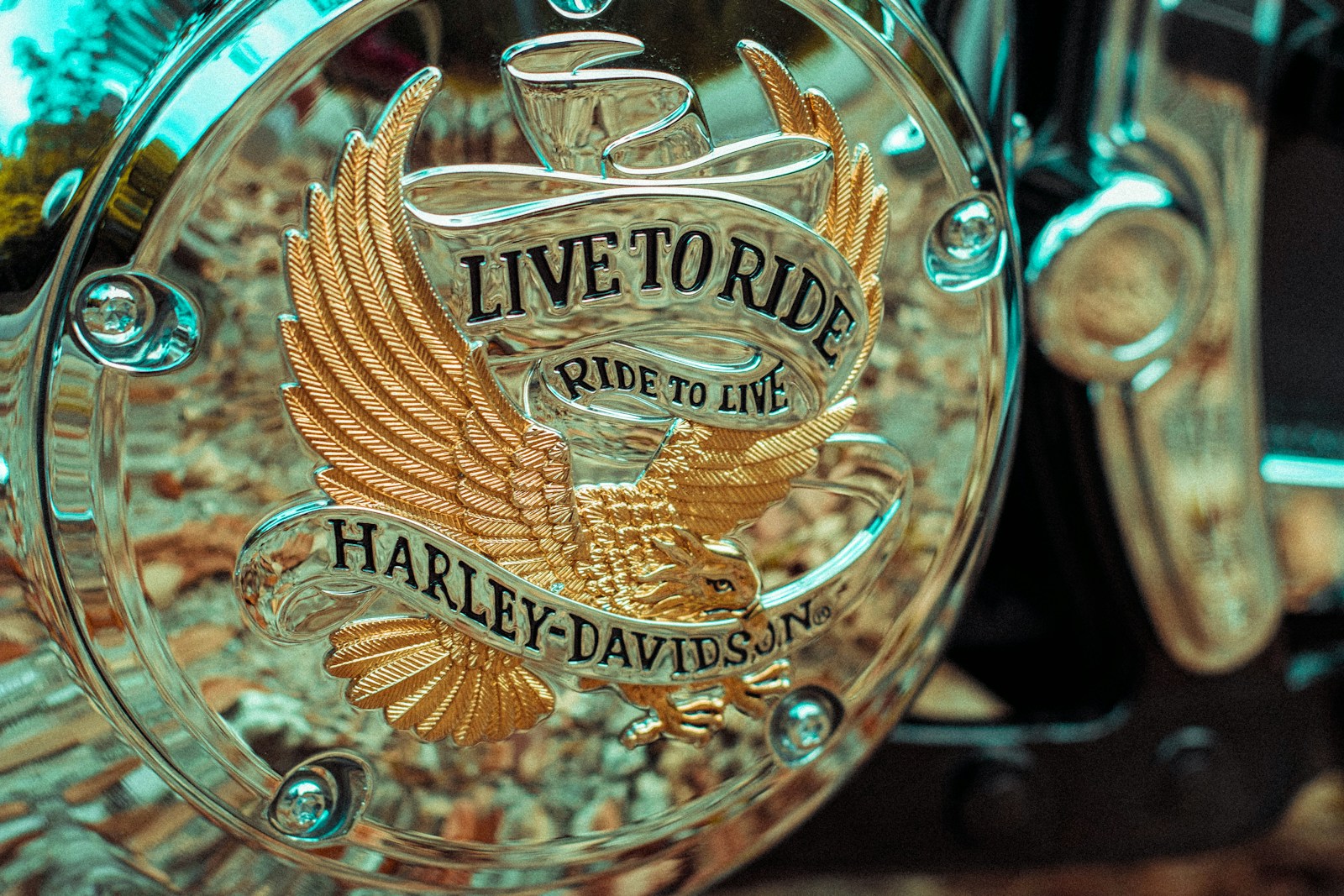 HBO Kicks Off Production for Second Season of Harry Potter Series - News